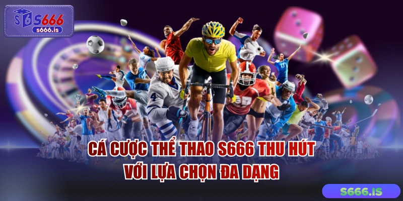 Cá Cược Thể Thao S666 Thu Hút Với Lựa Chọn Đa Dạng
