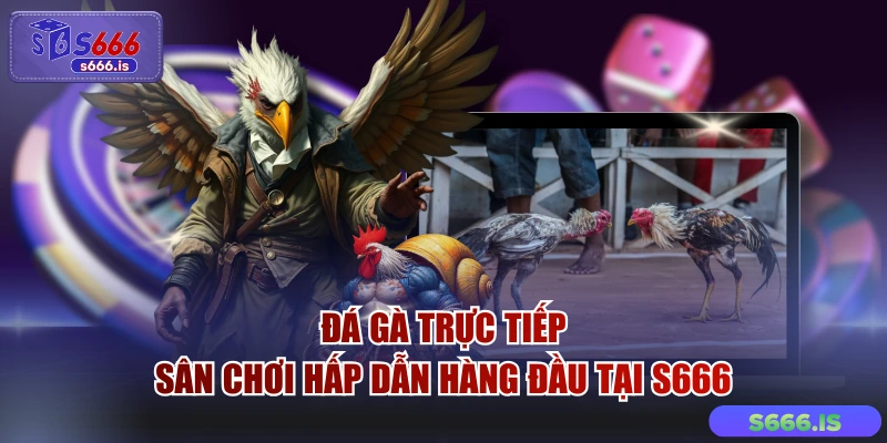 Đá Gà Trực Tiếp - Sân Chơi Hấp Dẫn Hàng Đầu Tại S666