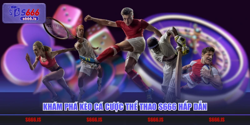 Khám phá kèo cá cược thể thao S666 hấp dẫn