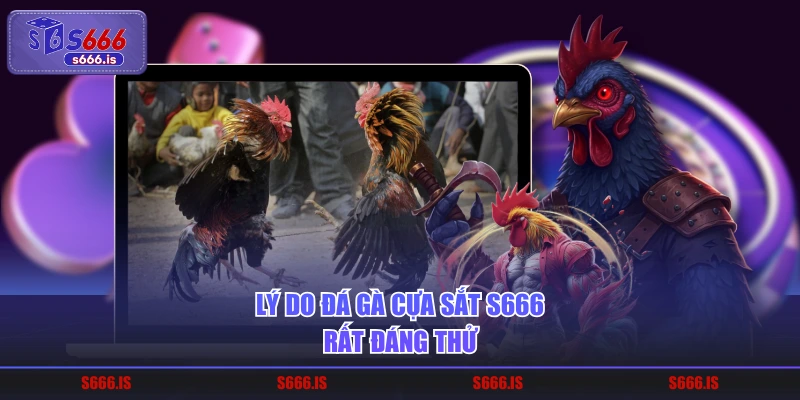 Lý do đá gà cựa sắt S666 rất đáng thử