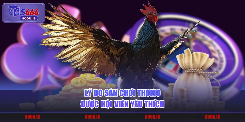 Lý do sân chơi Thomo được hội viên yêu thích