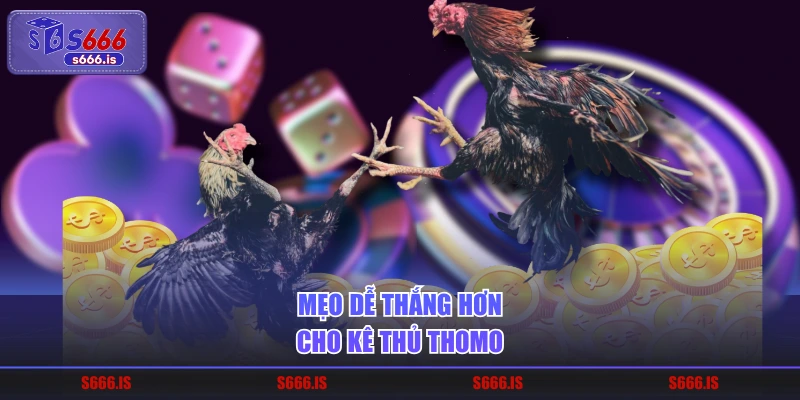 Mẹo dễ thắng hơn cho kê thủ Thomo