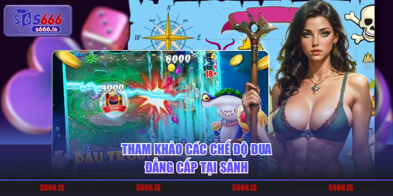 Tham khảo các chế độ đua đẳng cấp tại sảnh