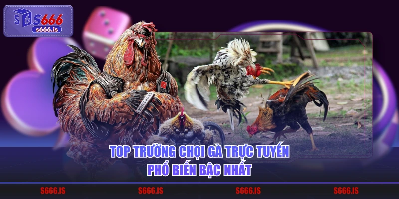 Top trường chọi gà trực tuyến phổ biến bậc nhất