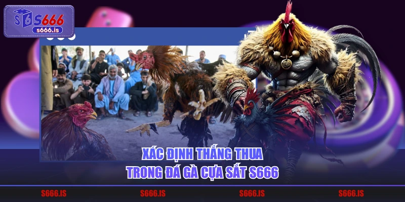 Xác định thắng thua trong đá gà cựa sắt S666